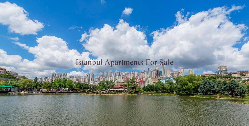 Istanbul Apartments For Sale in Turkey Property in Basaksehir for Sale  
