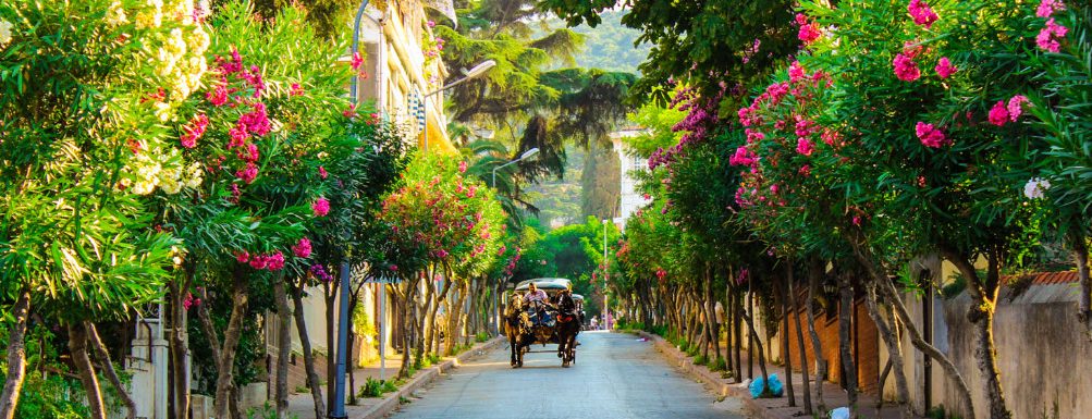 Istanbul Apartments For Sale in Turkey Close to Istanbul Short Breaks