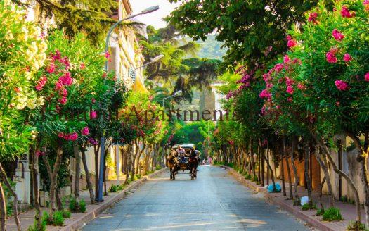 Istanbul Apartments For Sale in Turkey Close to Istanbul Short Breaks Istanbul Apartments For Sale in Turkey Close to Istanbul Short Breaks