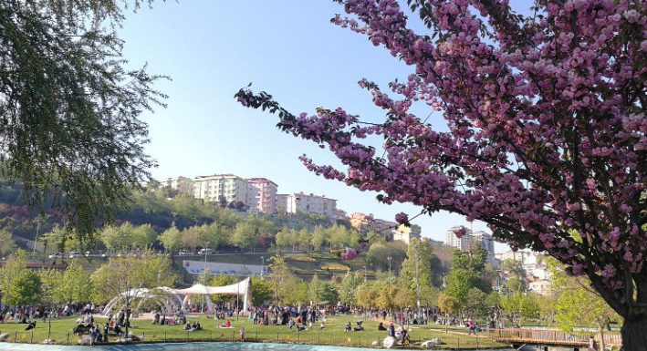 Istanbul Apartments For Sale in Turkey Guide of Istanbul Kagithane