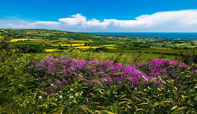 Istanbul Apartments For Sale in Turkey Where can you buy farm land in Istanbul? Istanbul Apartments For Sale in Turkey Where can you buy farm land in Istanbul?