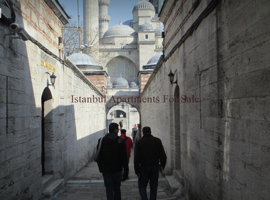 Istanbul Apartments For Sale in Turkey Beauties of Istanbul Series The Suleymaniye Mosque  