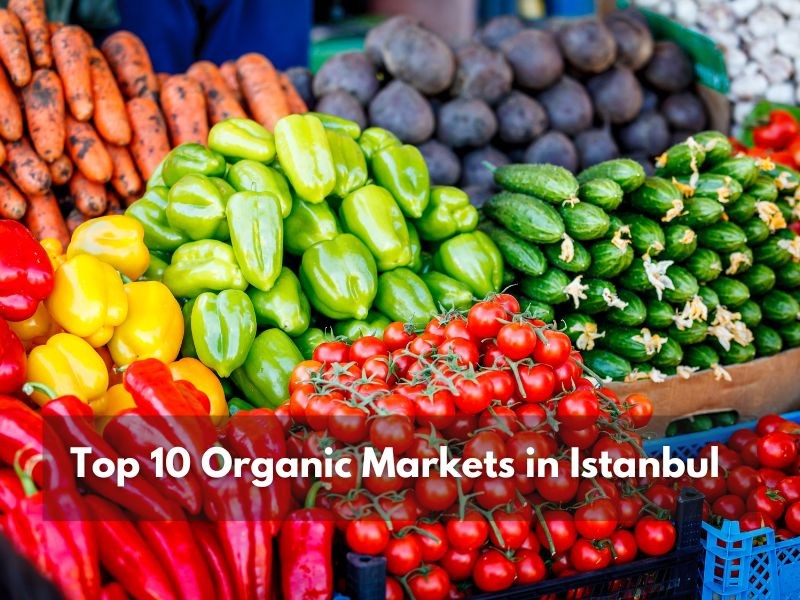Istanbul Apartments For Sale in Turkey Top 10 Organic Markets in Istanbul for explore  