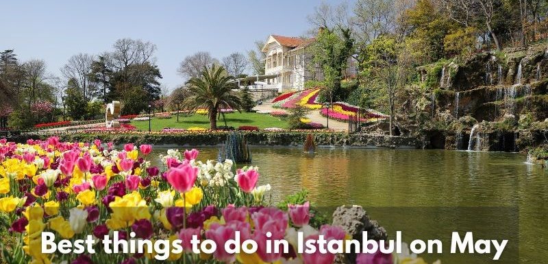 Istanbul Apartments For Sale in Turkey Best things to do in Istanbul in May  