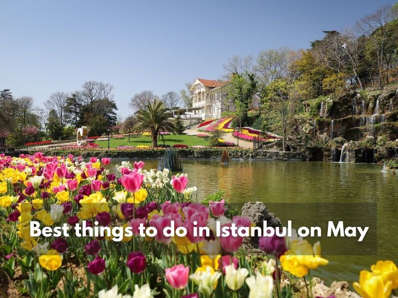 Istanbul Apartments For Sale in Turkey Best things to do in Istanbul in May  