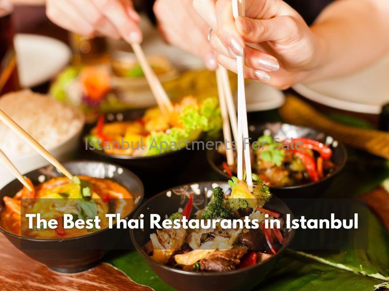 Istanbul Apartments For Sale in Turkey Explore The Best Thai Restaurants in Istanbul