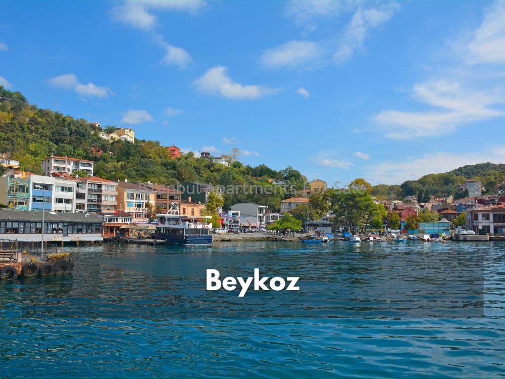 Istanbul Apartments For Sale in Turkey Where to find rural properties in Istanbul ?